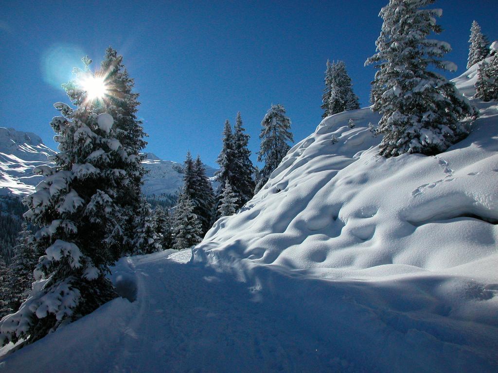 Hotel Alpina Вальс Экстерьер фото